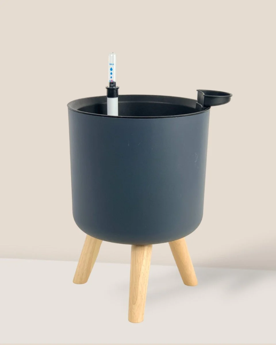 Self Watering Pot with Stand - Medium - Image 4