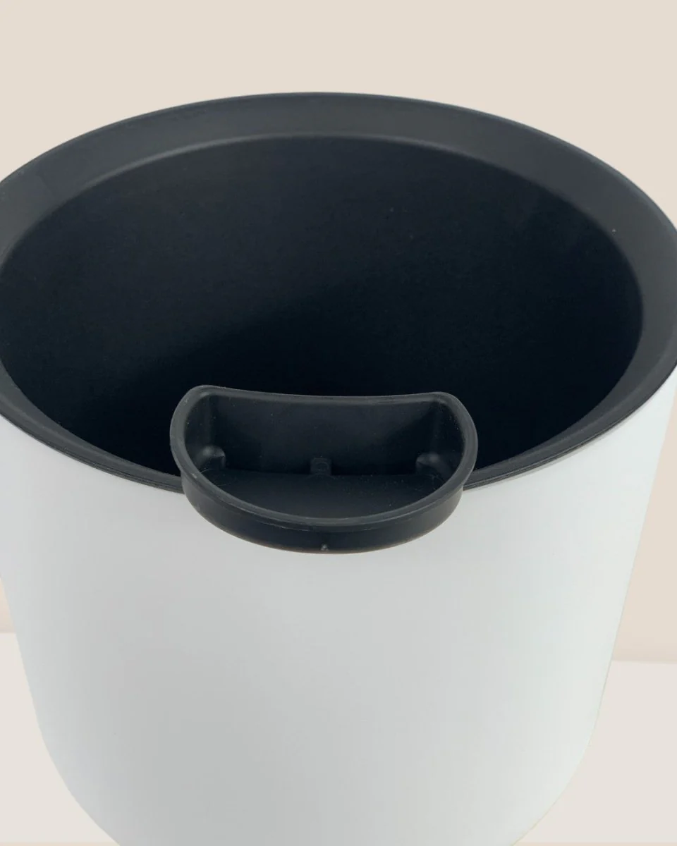 Self Watering Pot with Stand - Medium - Image 5