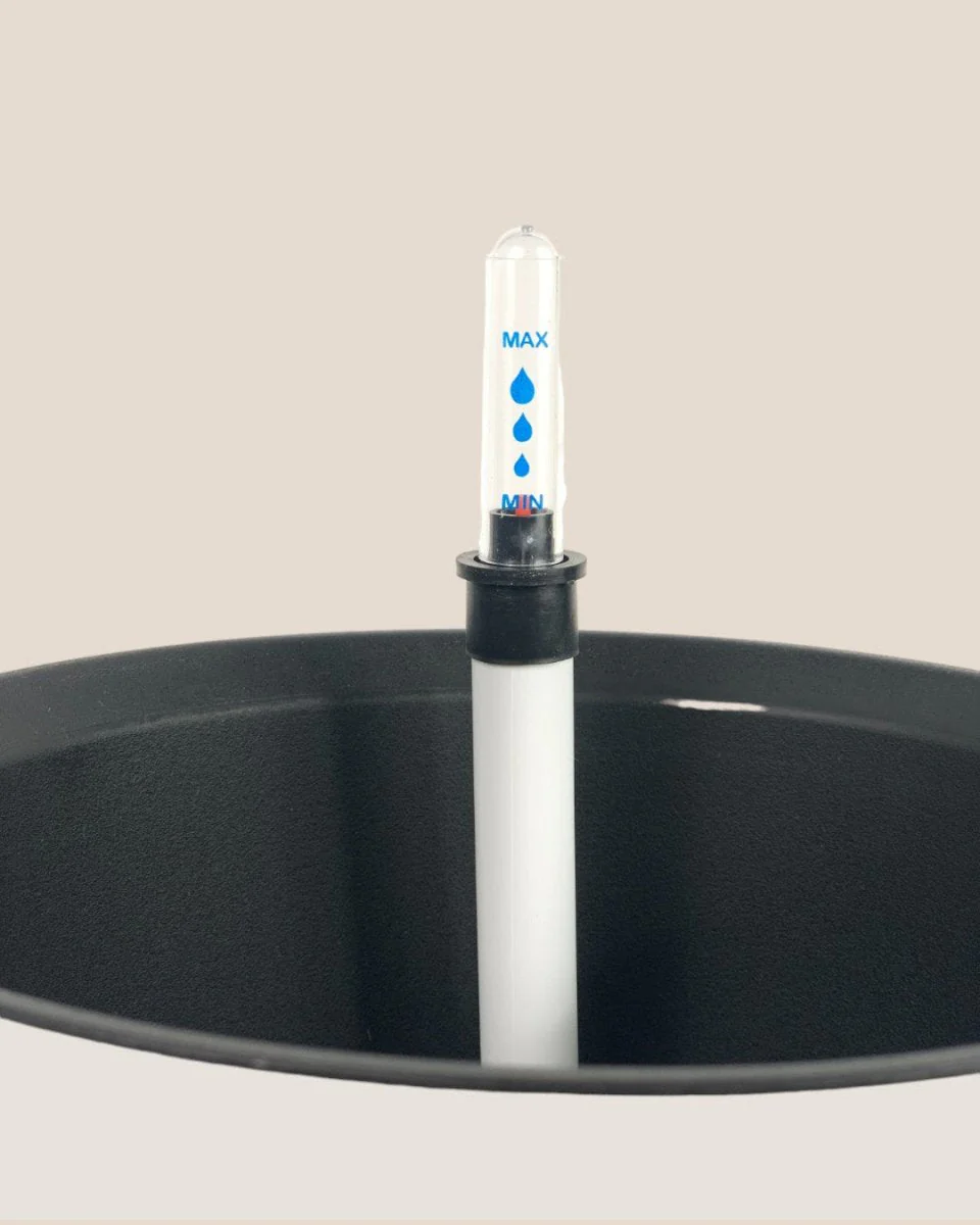 Self Watering Pot with Stand - Medium - Image 6