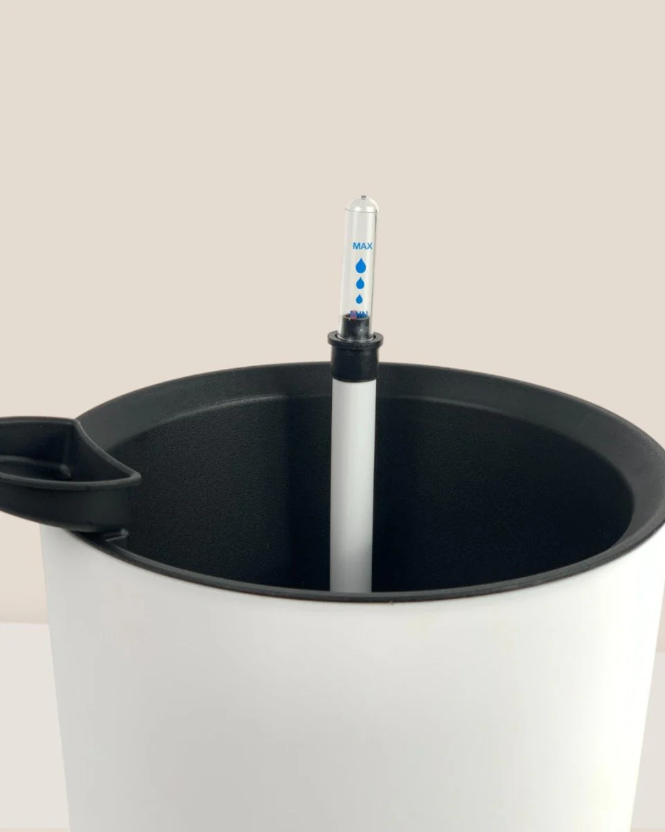 Self Watering Pot with Stand - Medium - Image 7