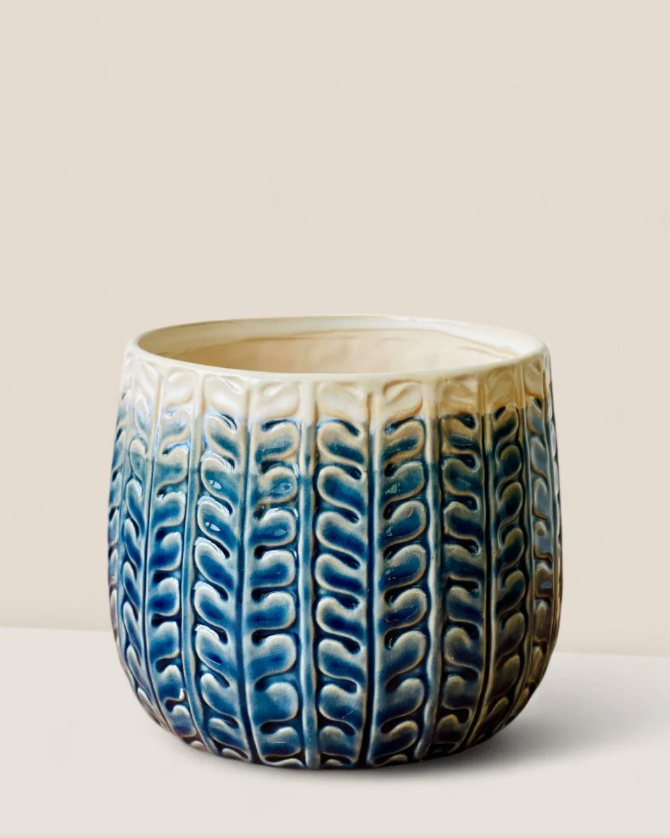 Tina Ceramic Pot - Medium
