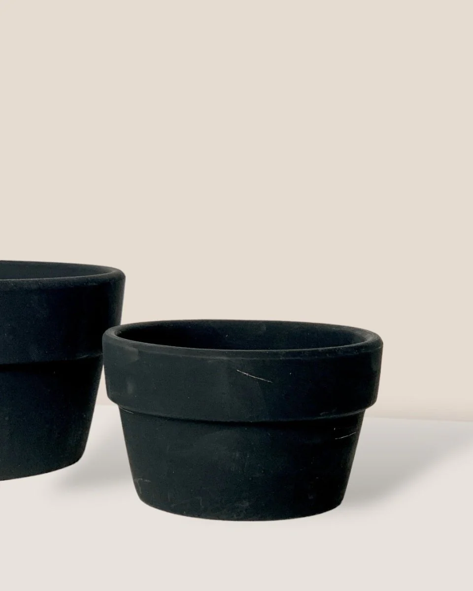 Midnight Black Pot - Image 3