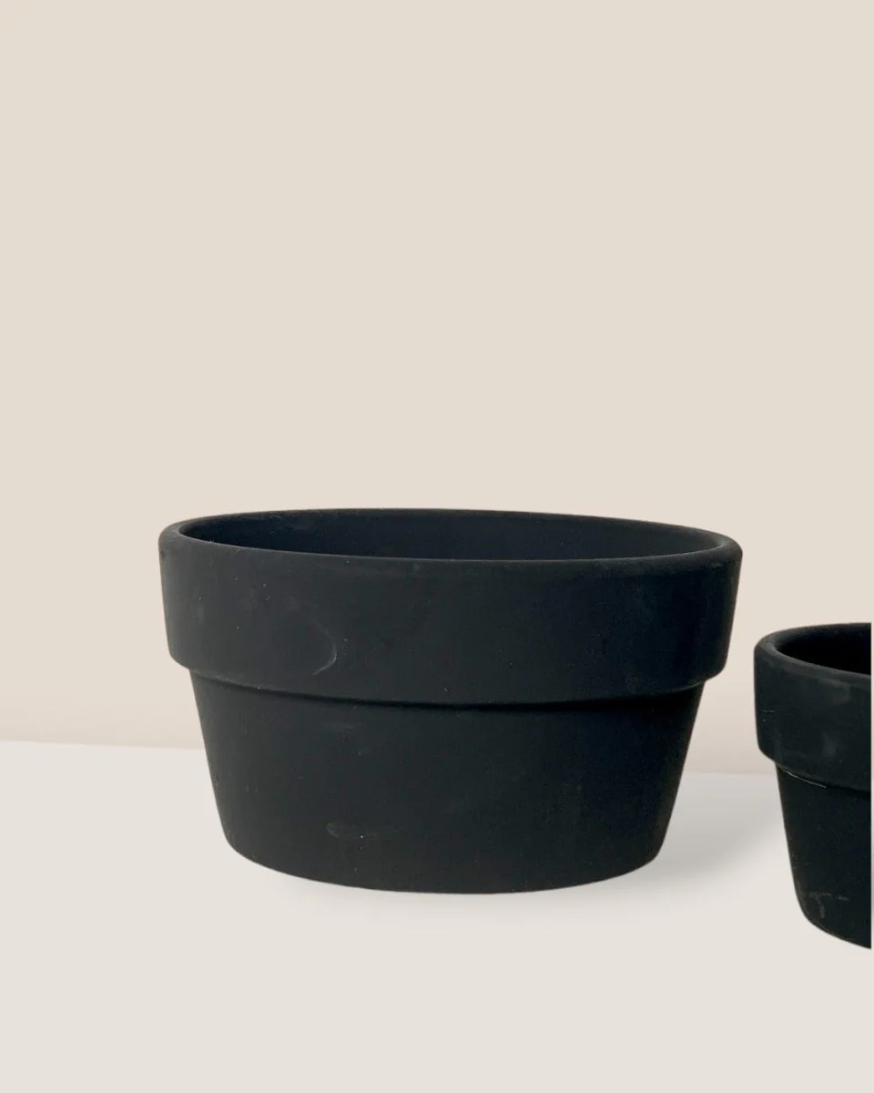 Midnight Black Pot - Image 4