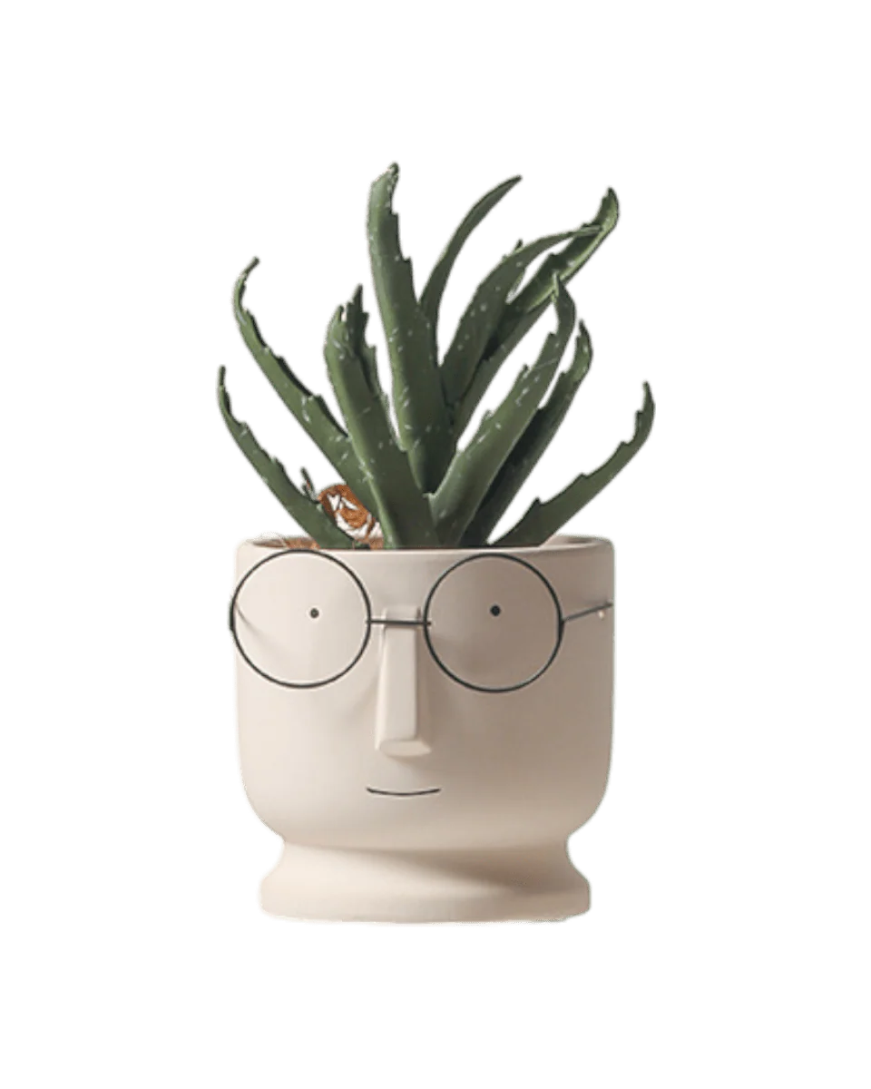 Mister Planter - Medium - Image 2
