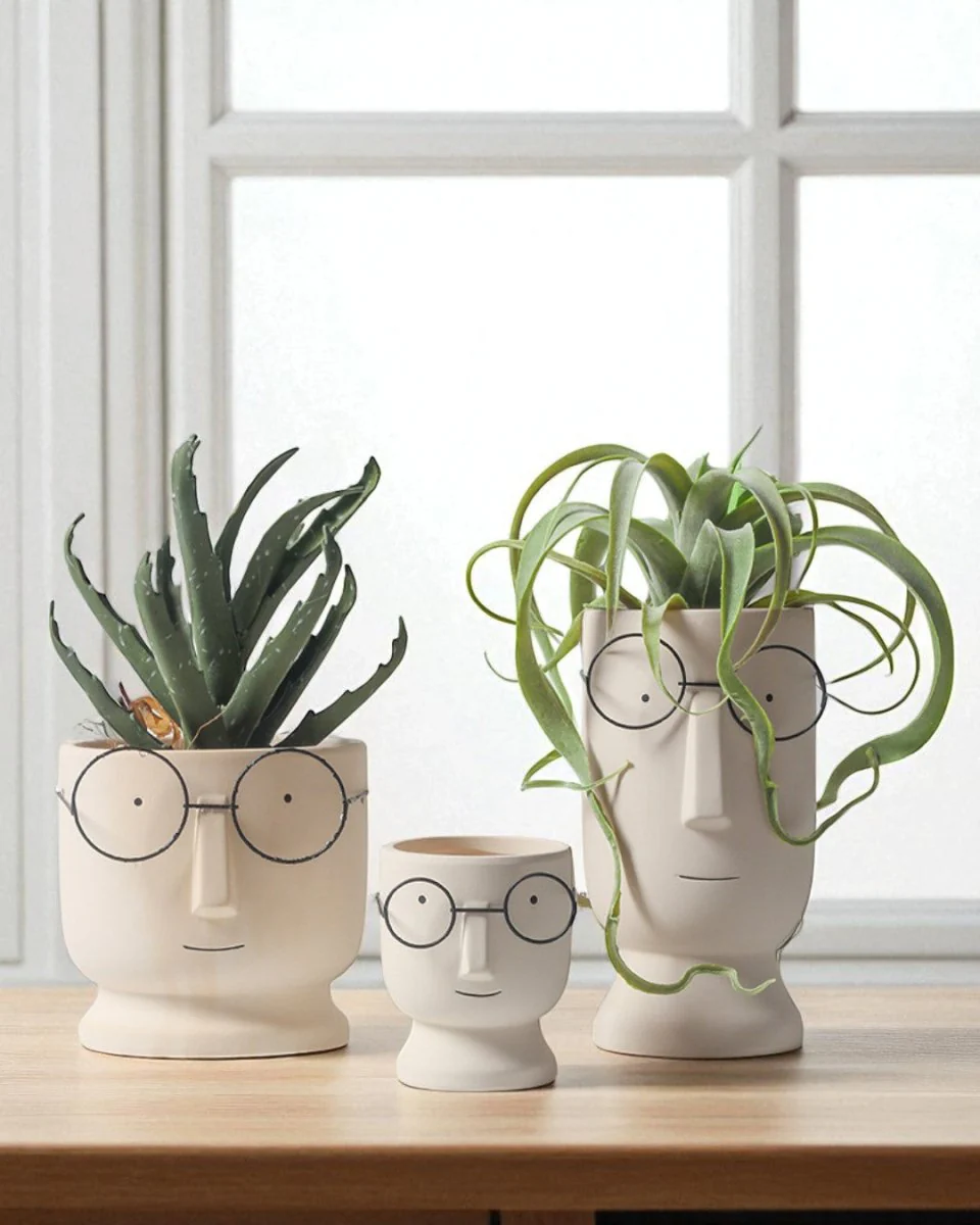 Mister Planter - Medium - Image 3