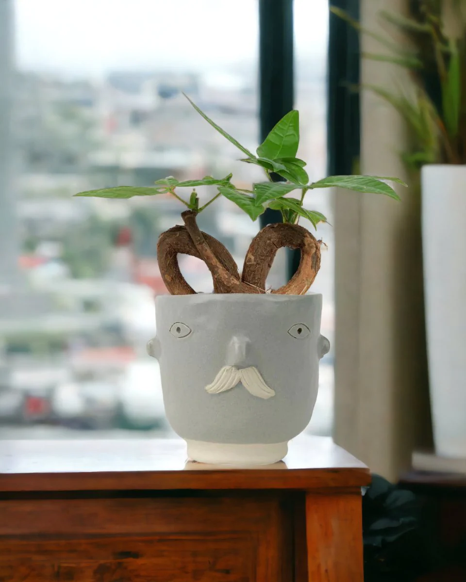 Money Tree Infinity - Image 10