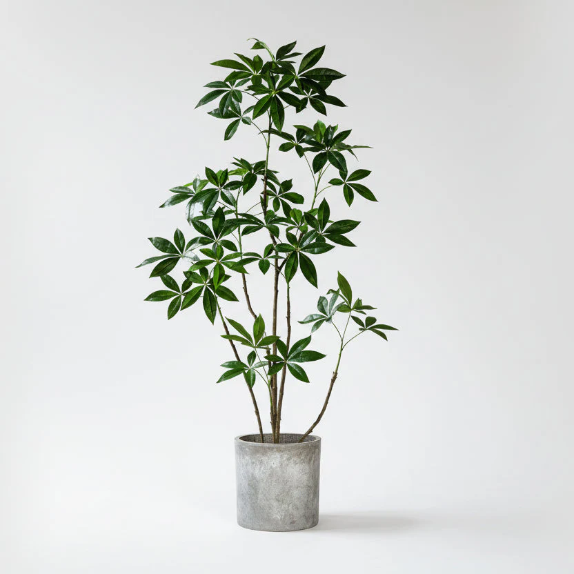 Money Tree - Life-like Artificial Plant (Fortune Tree) - Image 7