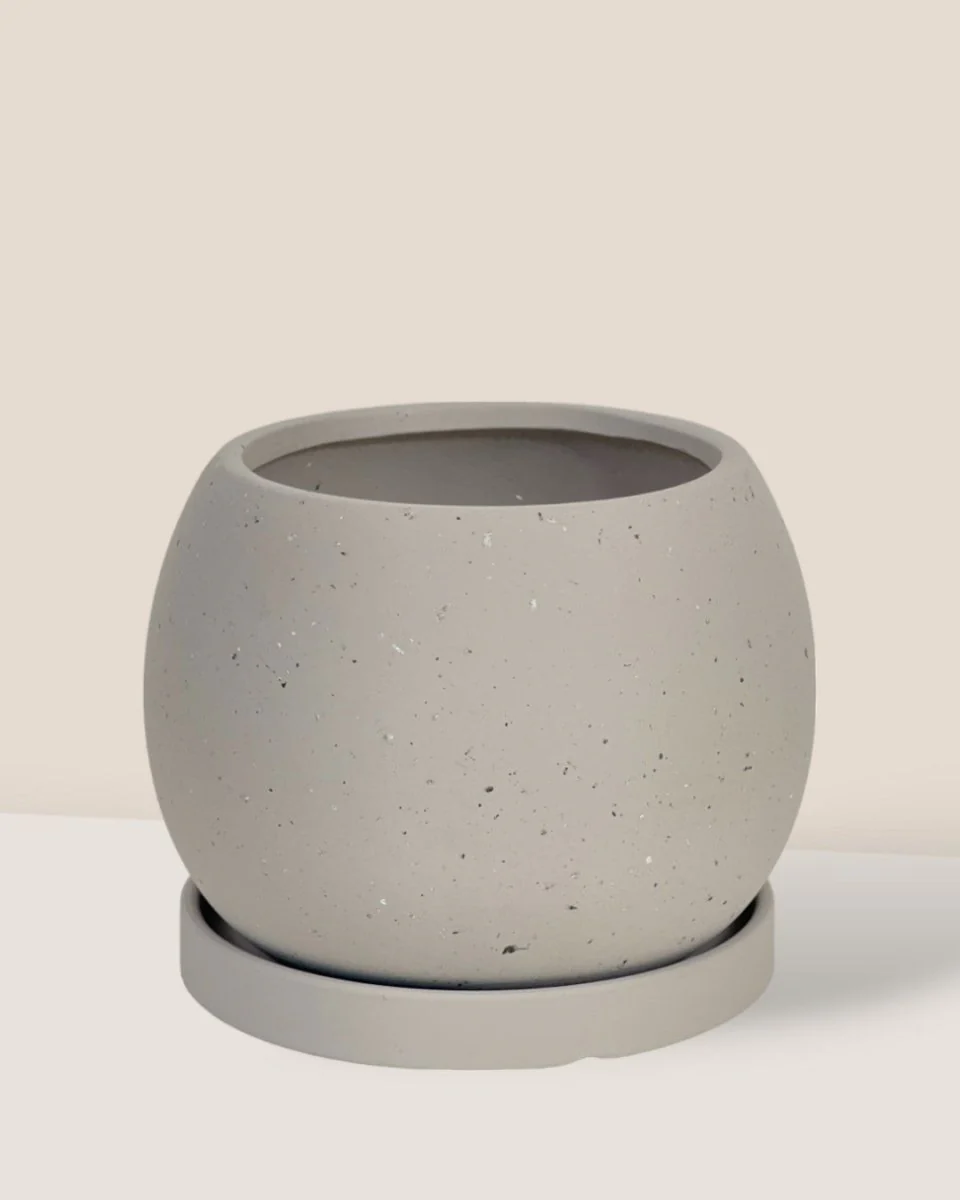 Nala Planter - Small - Image 14