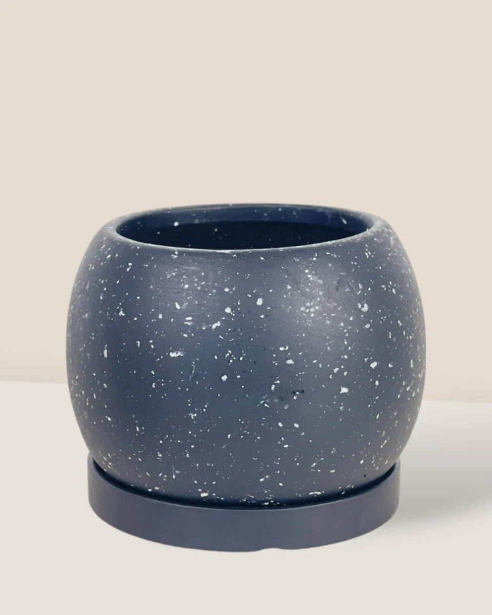 Nala Planter - Medium - Image 3