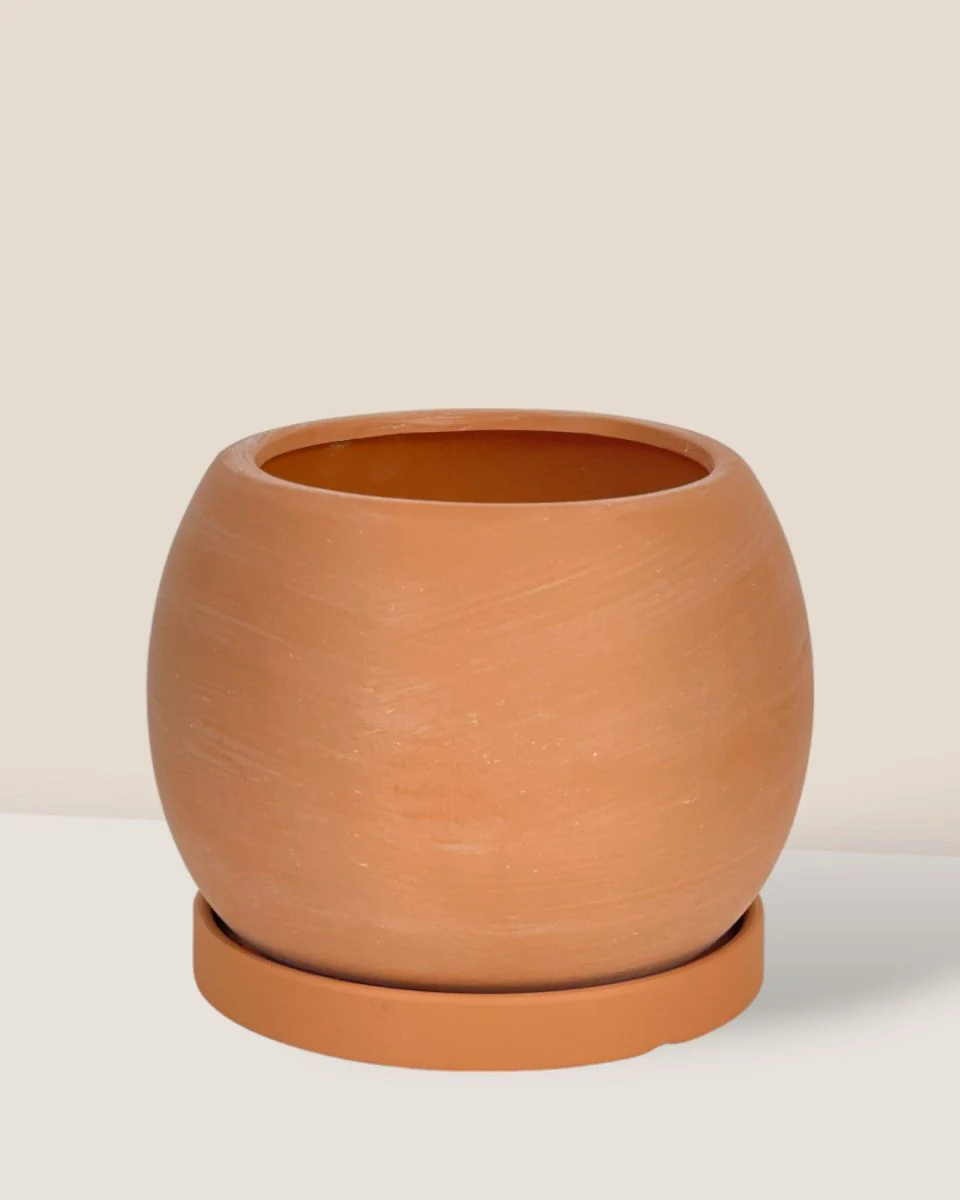 Nala Planter - Small - Image 9