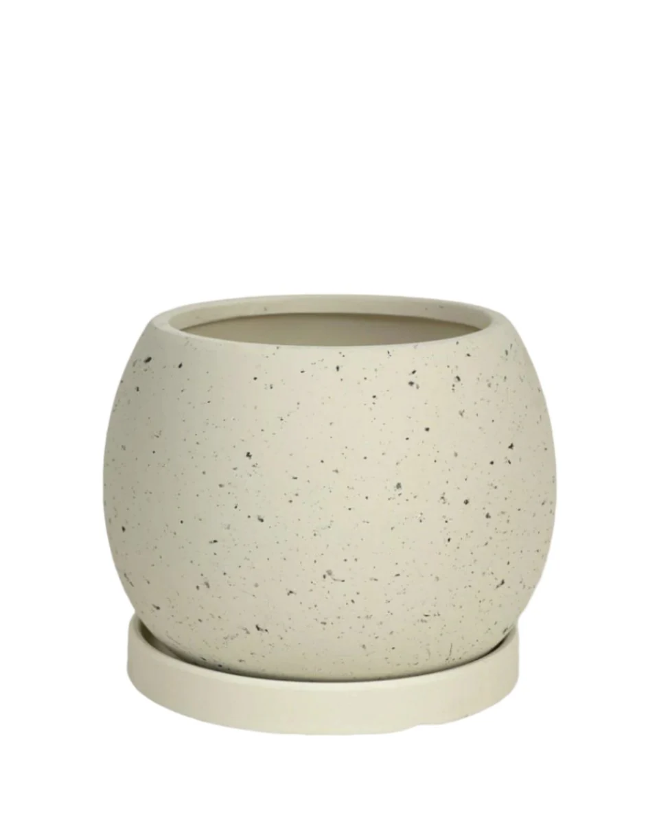 Nala Planter - Small - Image 18