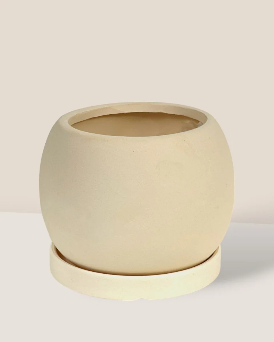 Nala Planter - Medium - Image 6