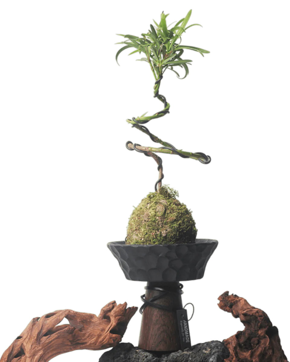 Nest Planter