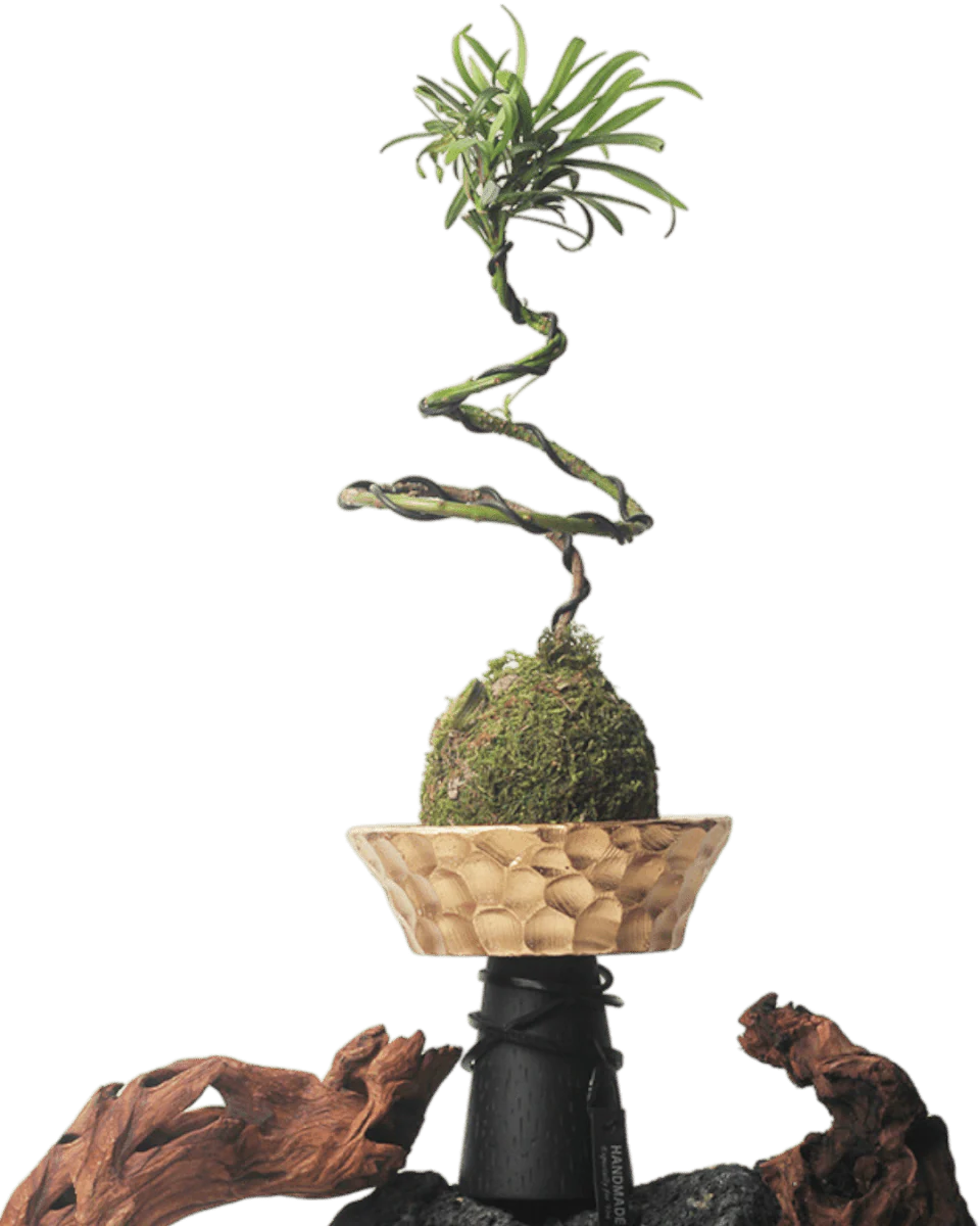 Nest Planter - Image 2
