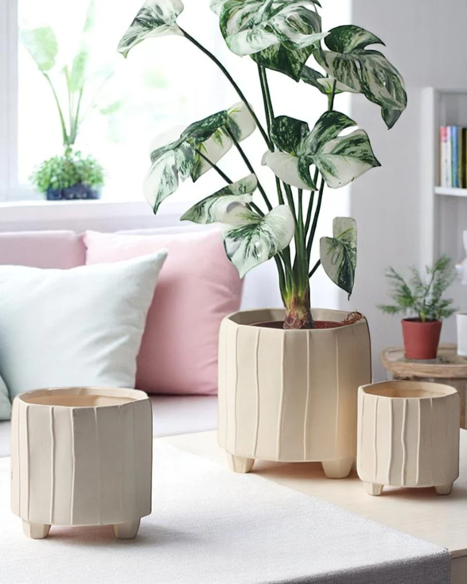 Noko Planter - Medium - Image 4