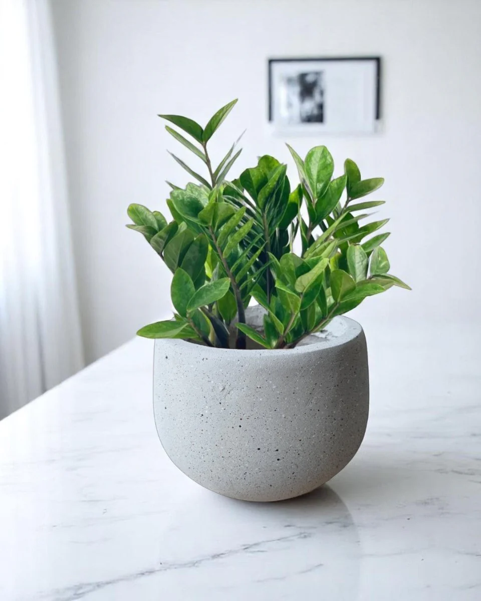 Nova Planter Medium