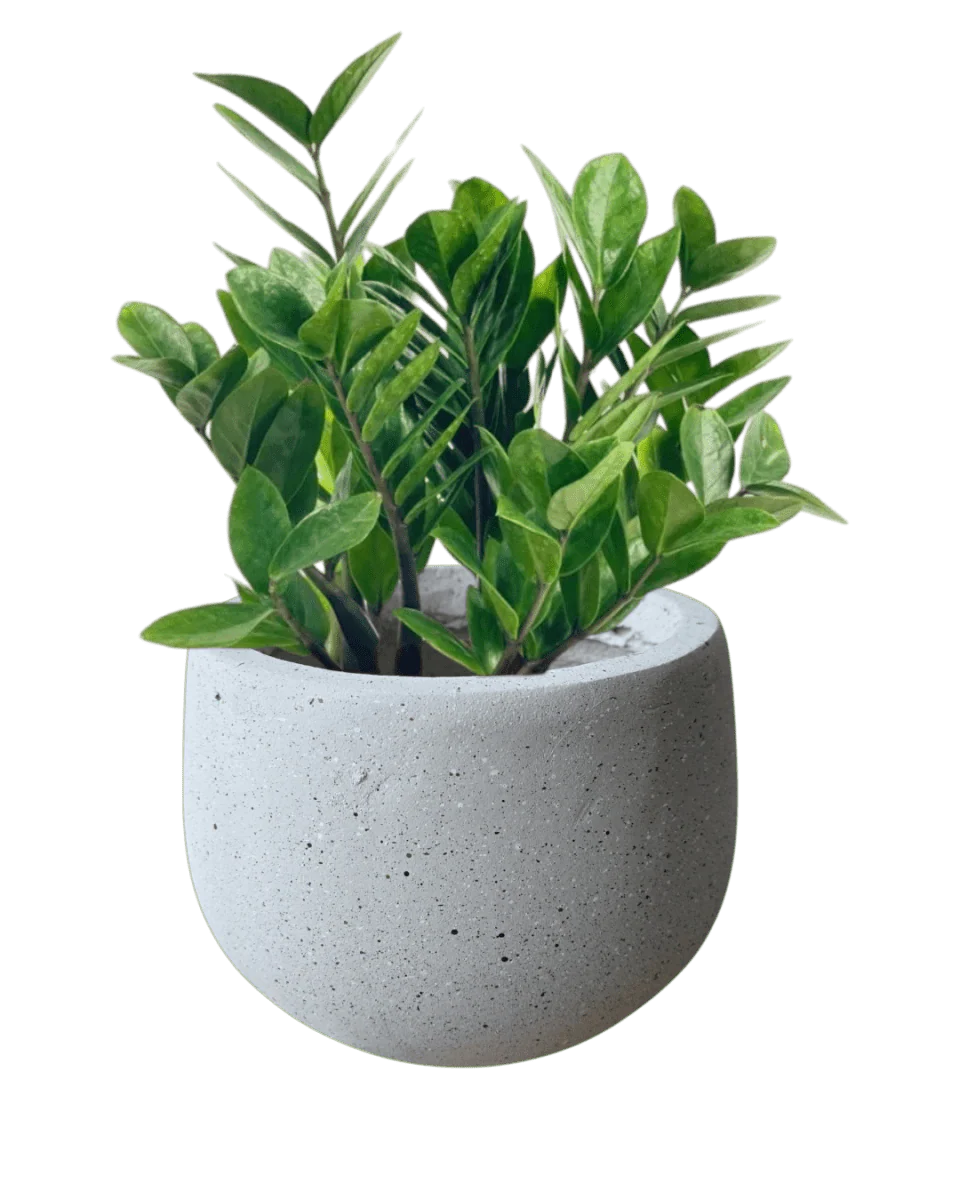 Nova Planter Medium - Image 9