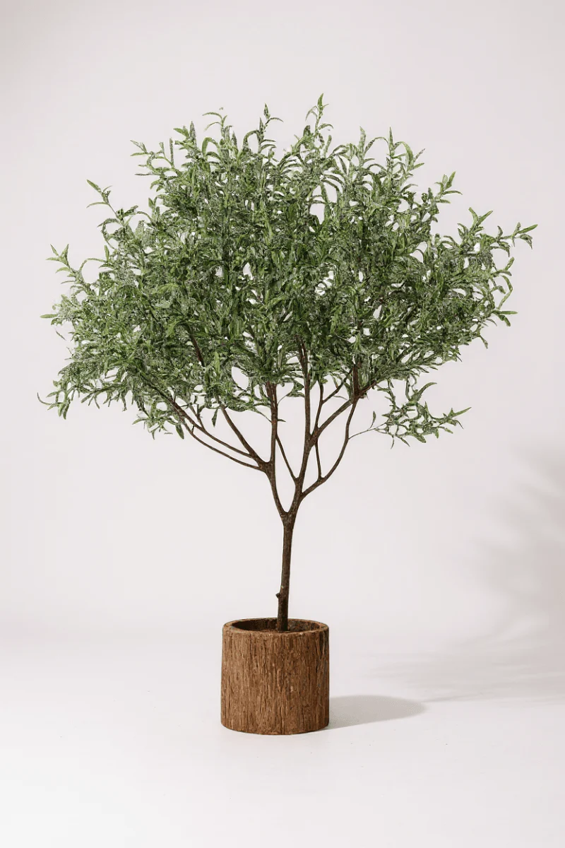Olive Tree - Real-Trunk Artificial - Image 4