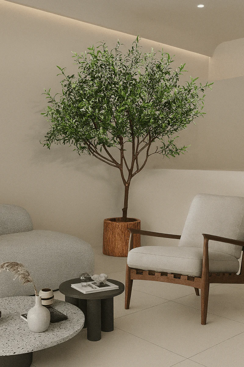 Olive Tree - Real-Trunk Artificial - Image 5