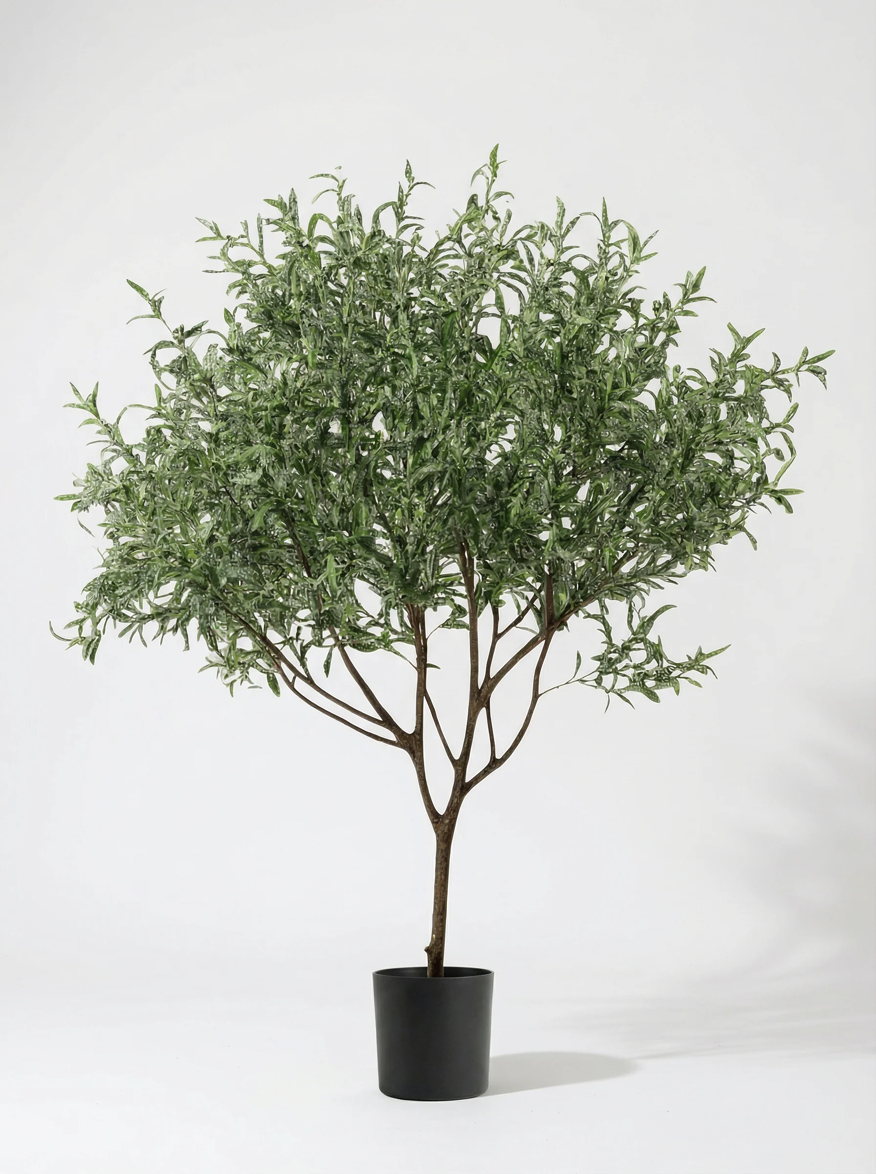 Olive Tree - Real-Trunk Artificial - Image 7