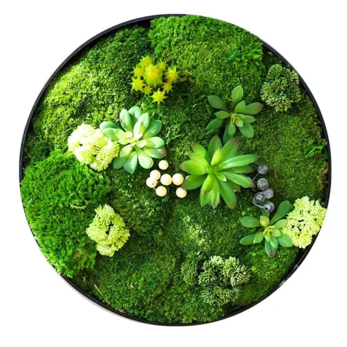 Orb Green - Preserved Plants: MOSS. - Image 14