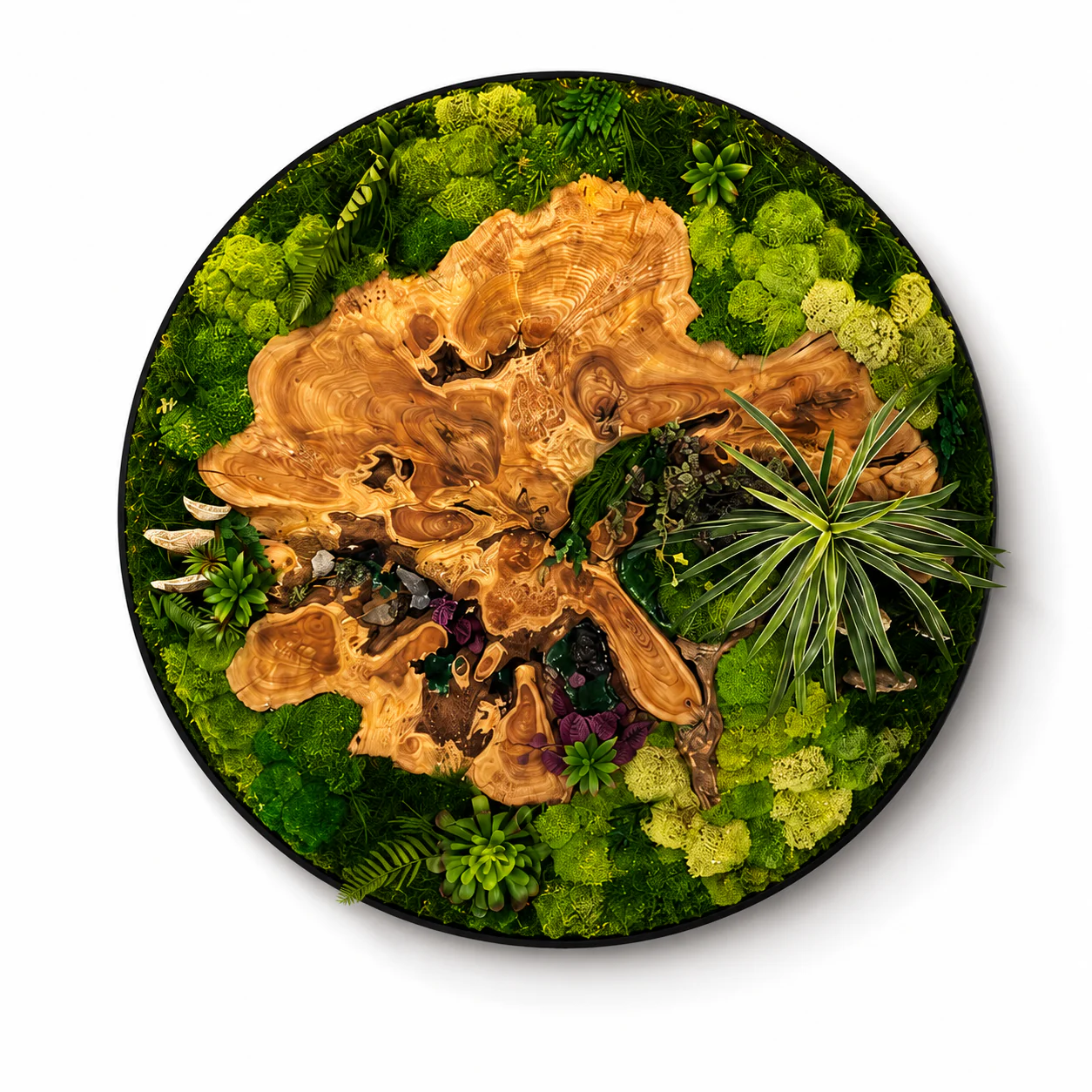 Orb Green - Preserved Plants: MOSS. - Image 19