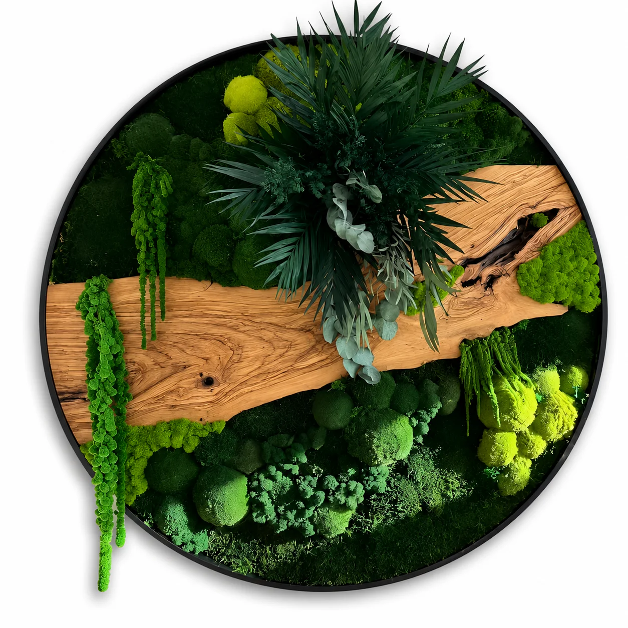 Orb Green - Preserved Plants: MOSS. - Image 20