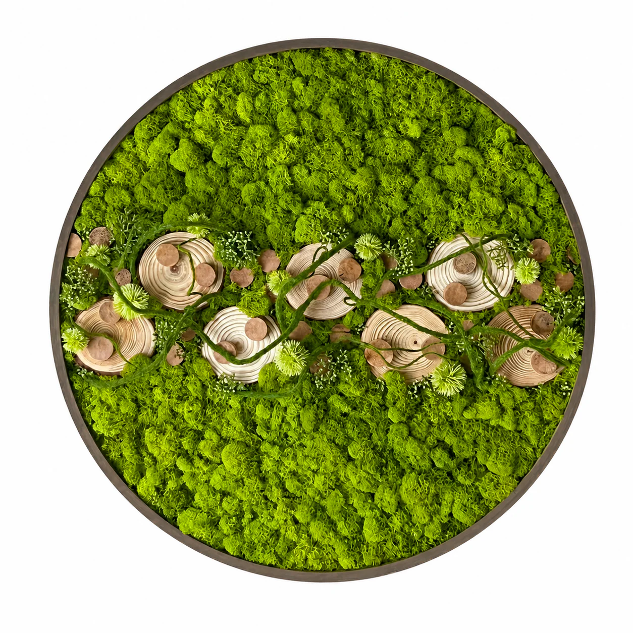 Orb Green - Preserved Plants: MOSS. - Image 21