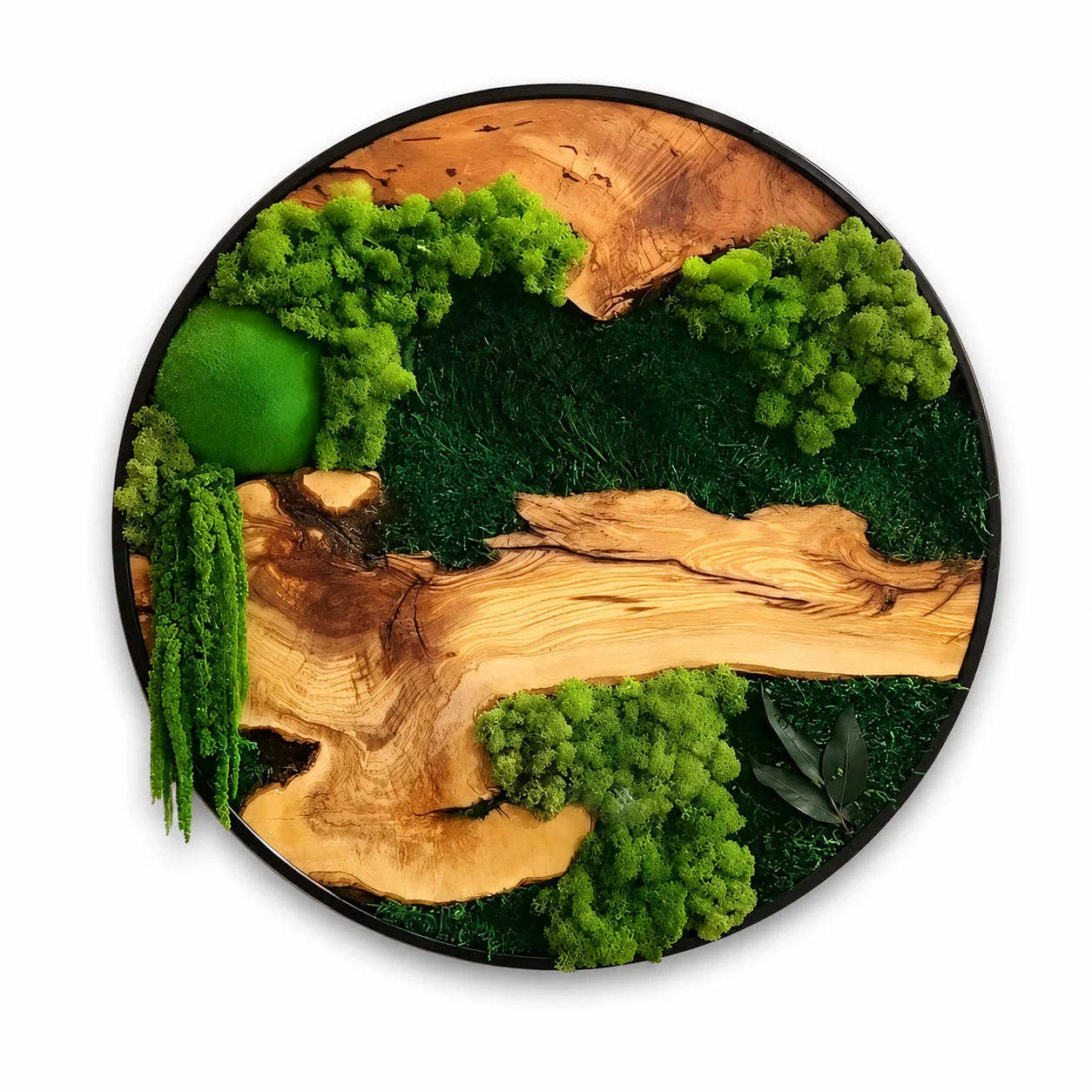 Orb Green - Preserved Plants: MOSS. - Image 22