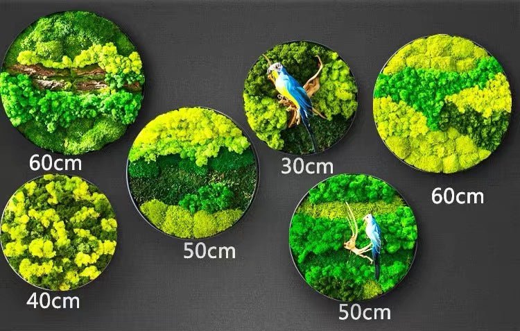 Orb Green - Preserved Plants: MOSS. - Image 3