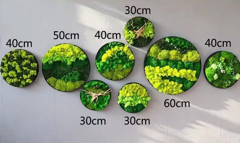Orb Green - Preserved Plants: MOSS. - Image 4