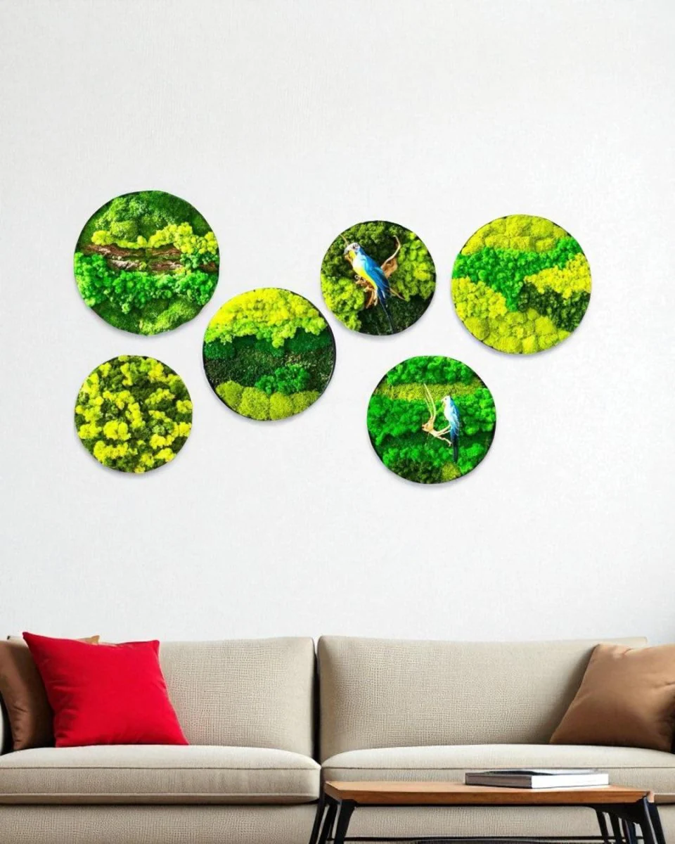 Orb Green - Preserved Plants: MOSS. - Image 5