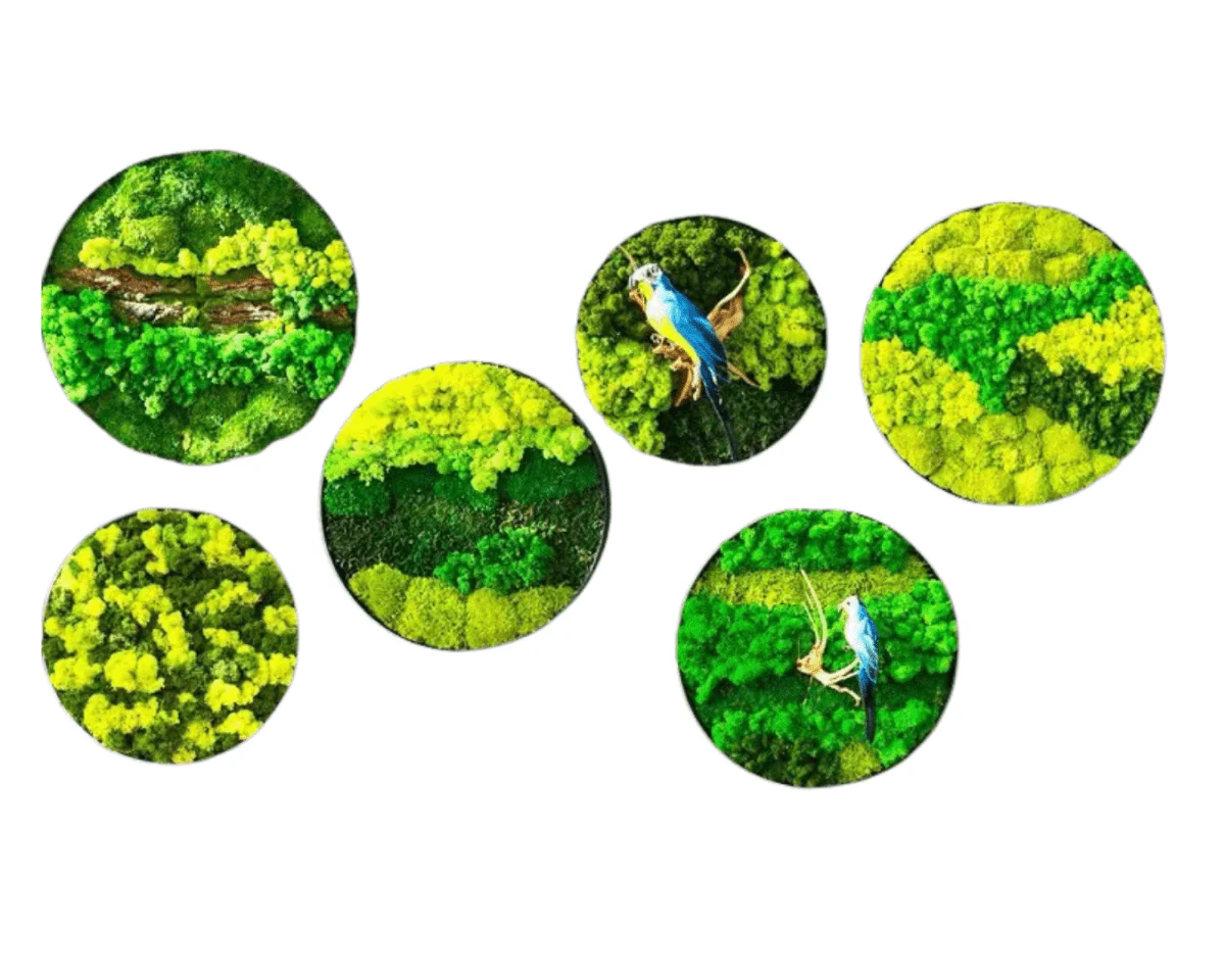 Orb Green - Preserved Plants: MOSS. - Image 7