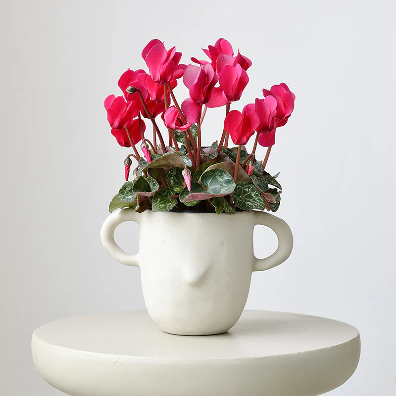 Otis Cup Pot - Image 2