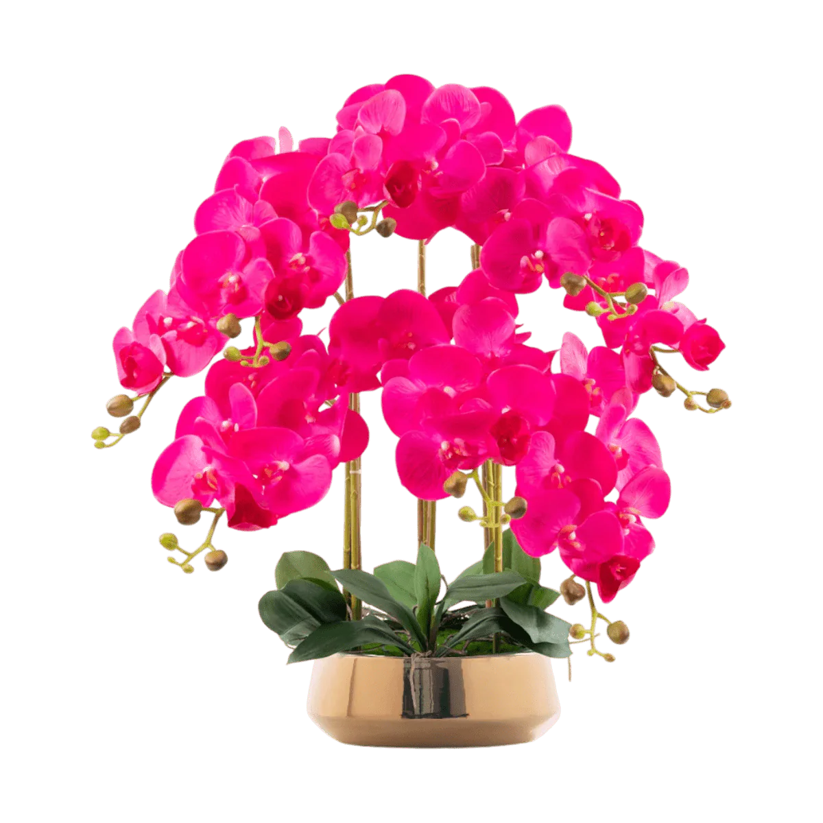 Phalaenopsis Charm - Lifelike Orchid Bloom Décor (Life-like Artificial) - Image 10