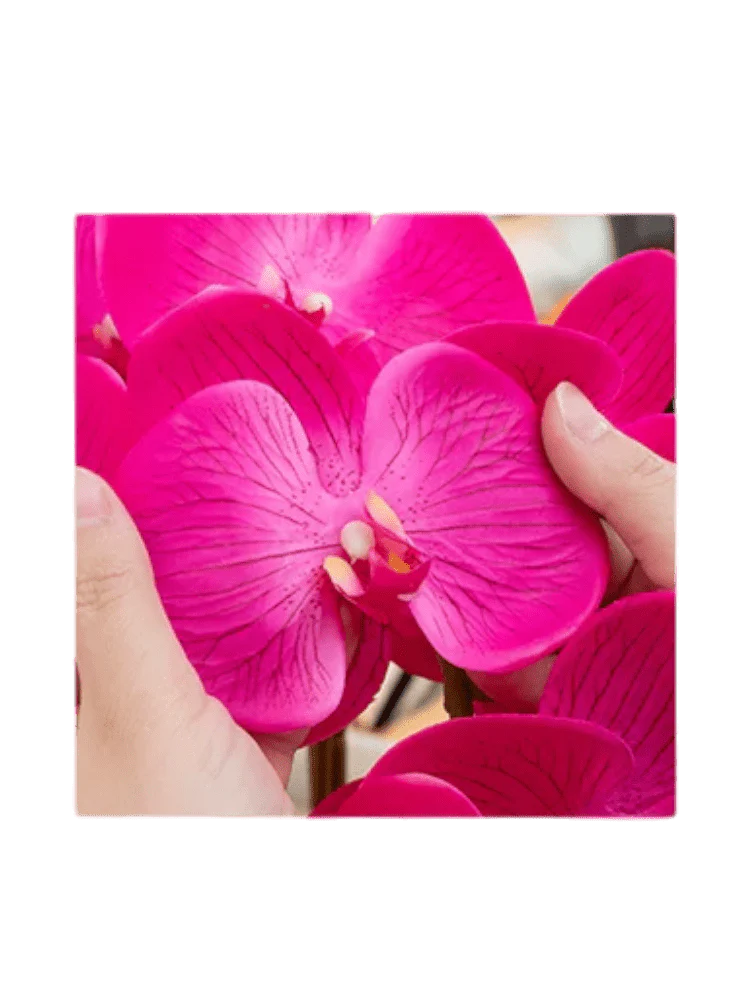 Phalaenopsis Charm - Lifelike Orchid Bloom Décor (Life-like Artificial) - Image 12