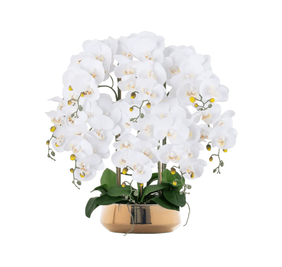 Phalaenopsis Charm - Lifelike Orchid Bloom Décor (Life-like Artificial) - Image 15