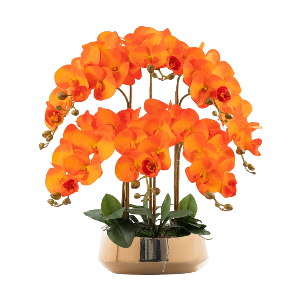 Phalaenopsis Charm - Lifelike Orchid Bloom Décor (Life-like Artificial) - Image 9