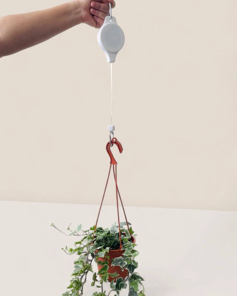Plant Hook - Image 3