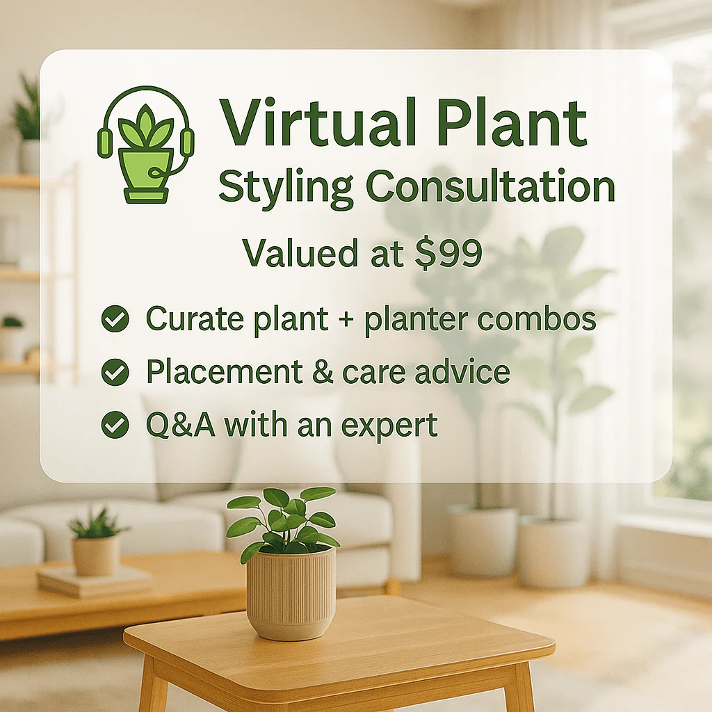 Plant Styling Consultation