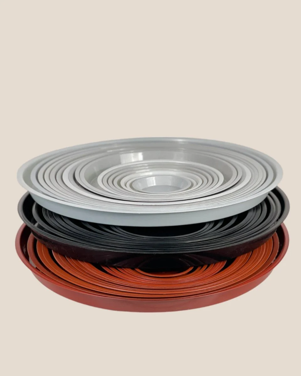 Plastic Tray (White) - Image 4