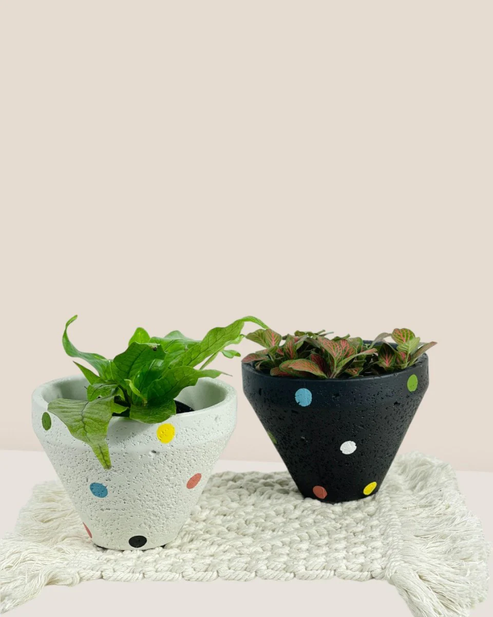 Polka Pots - Image 8