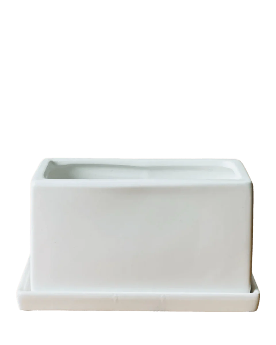 Raven Planter with Tray - Image 7