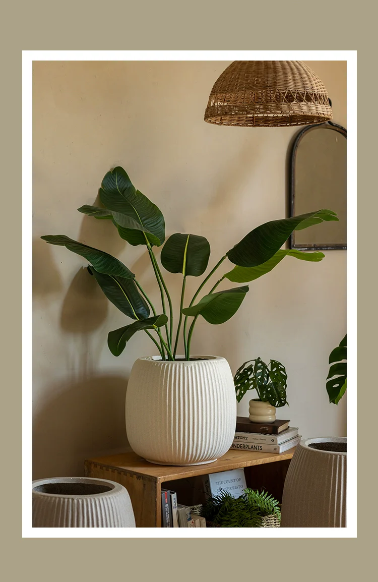 Reed Planter - Image 8