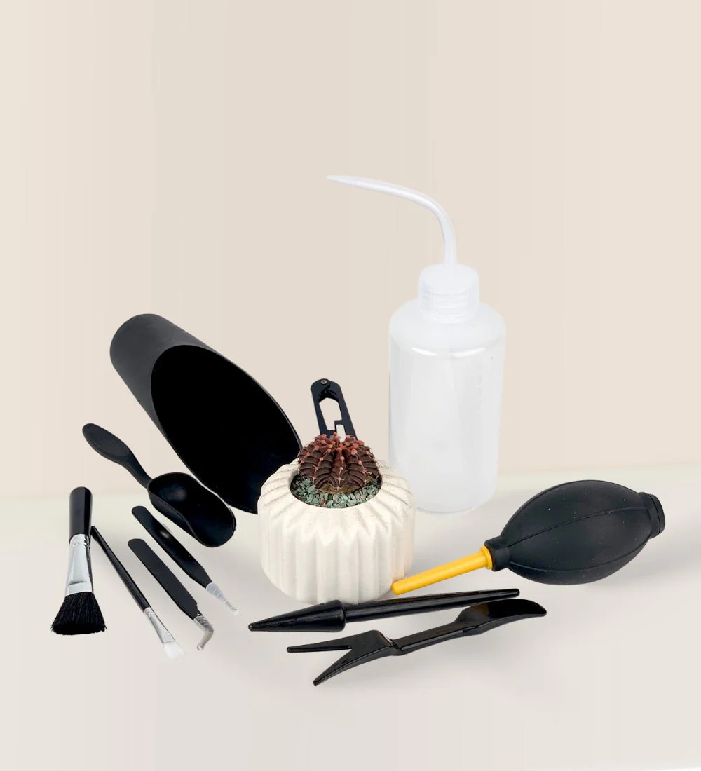 Repotting Tool Set - Mini Succulent Use