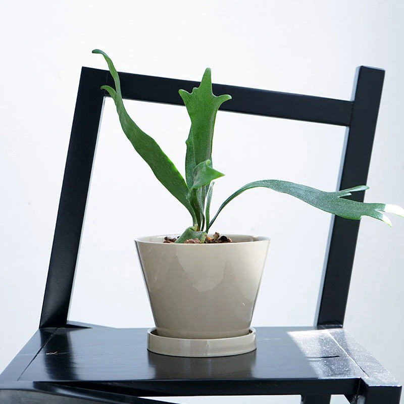 Retro Glazed Planter - Image 2