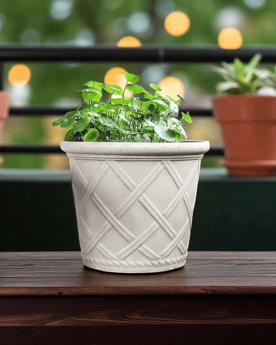 Roman Lattice Pot - Large
