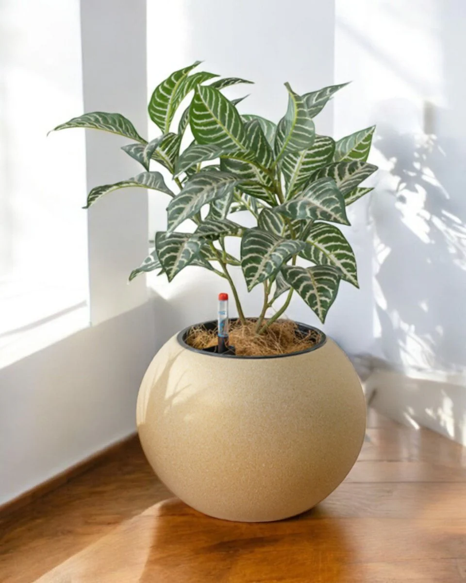Sphere HydroEase Self Watering Pot - Medium