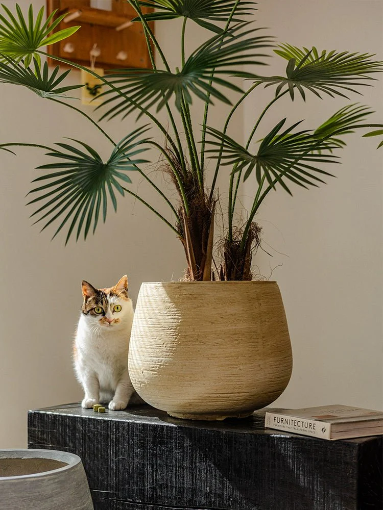Gary Gravel Pot - Image 2