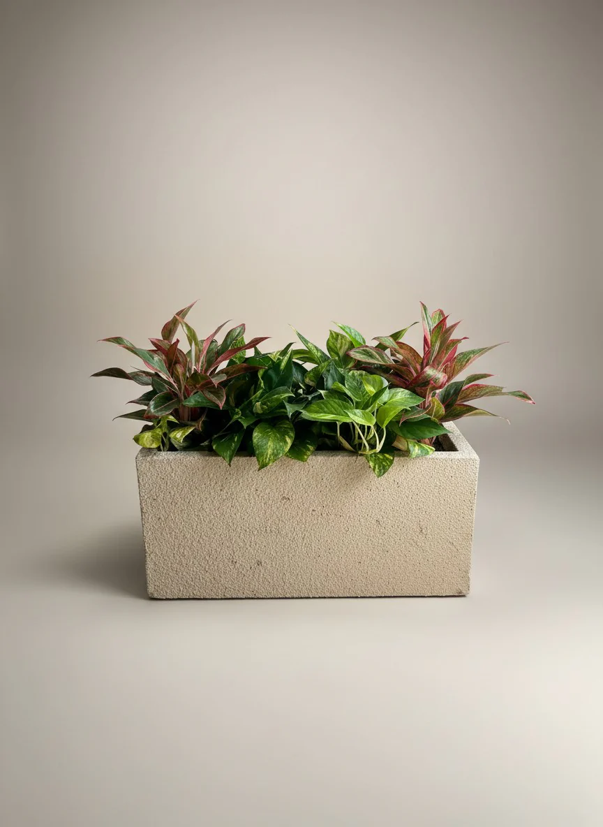 Second Chance: Songa planter box with plants - Image 2